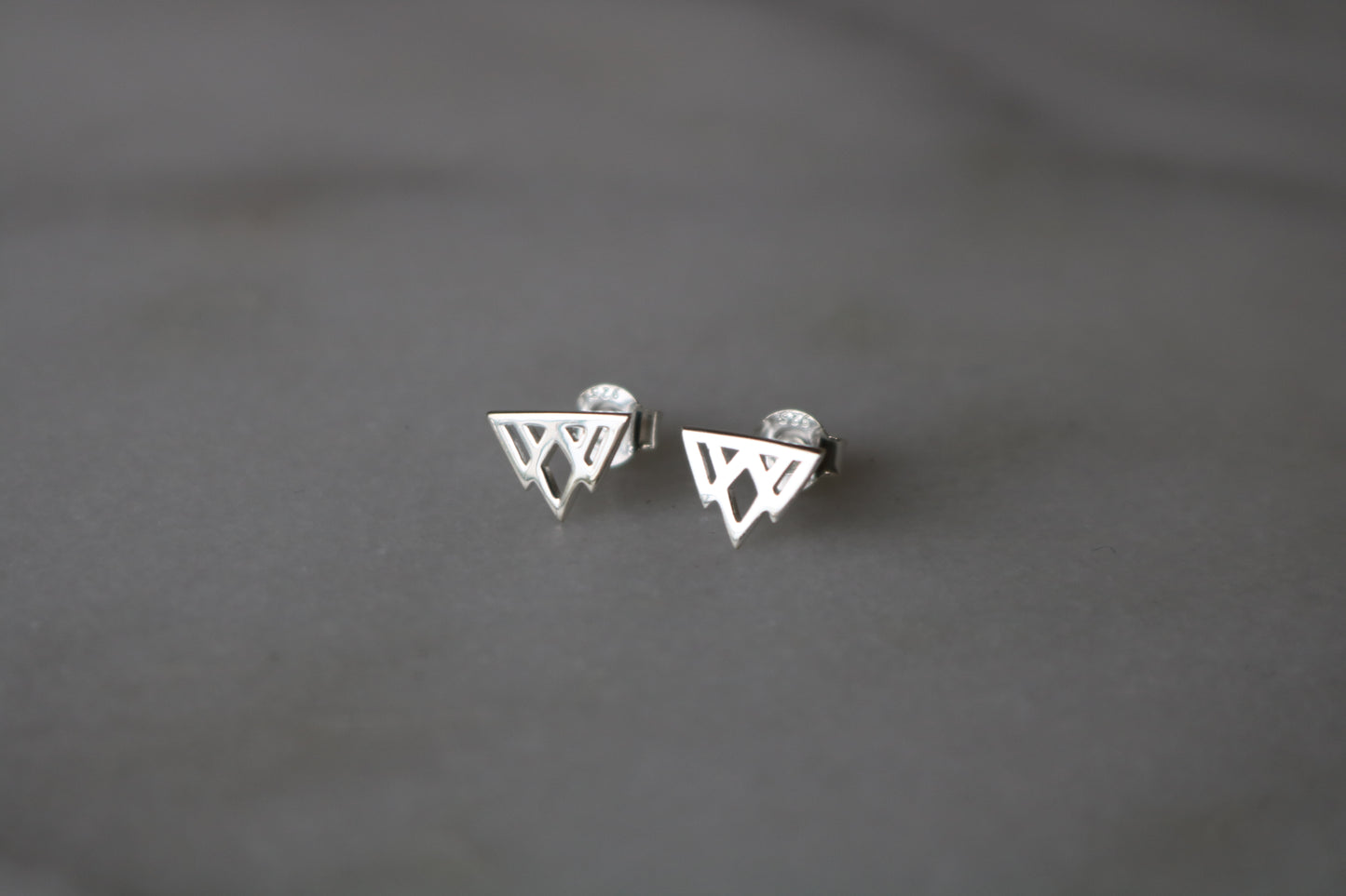 Silver Stud Earrings